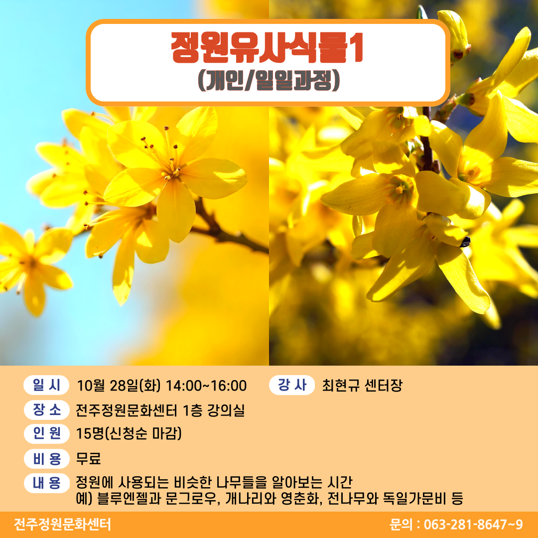 editor_image