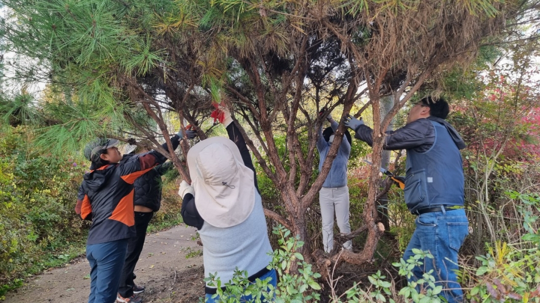 25.11.06(목) 전지전정과정(실습) 3차