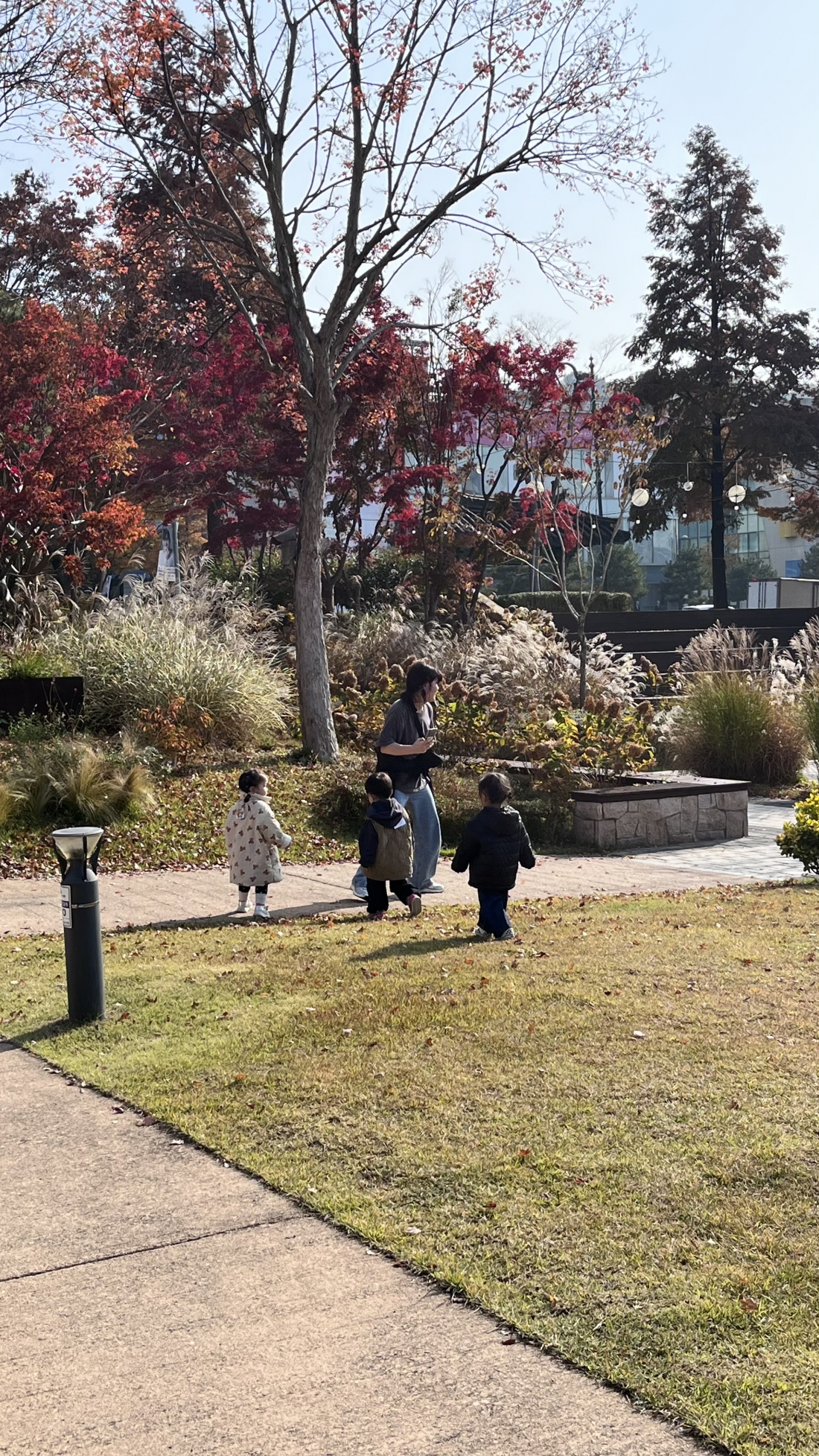 25.11.13(목) 정원산책