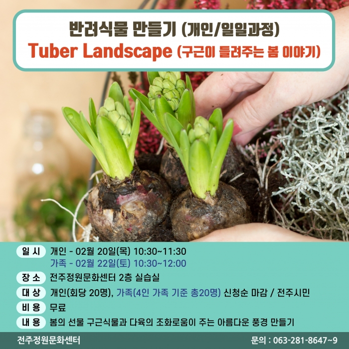 반려식물만들기(Tuber LandScape(구근이 들려주는 봄이야기)/개인,가족 원데이)