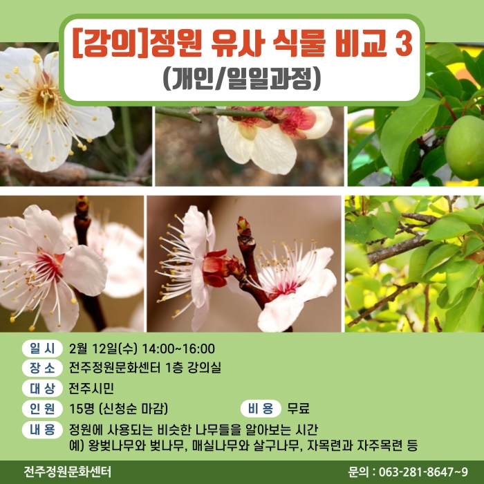 정원유사식물비교 3탄(개인/일일과정)