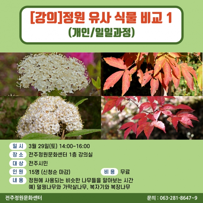 정원유사식물비교 1(개인/일일과정)