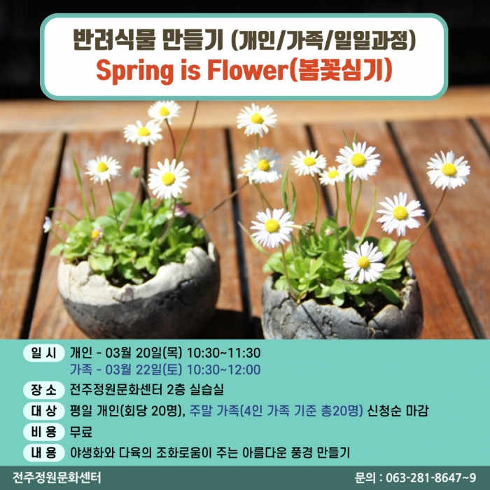 반려식물만들기(Spring is Flower(봄꽃 심기)/개인,가족 원데이)