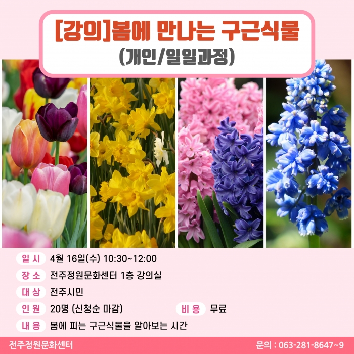 봄에 만나는 구근식물(개인/일일과정)