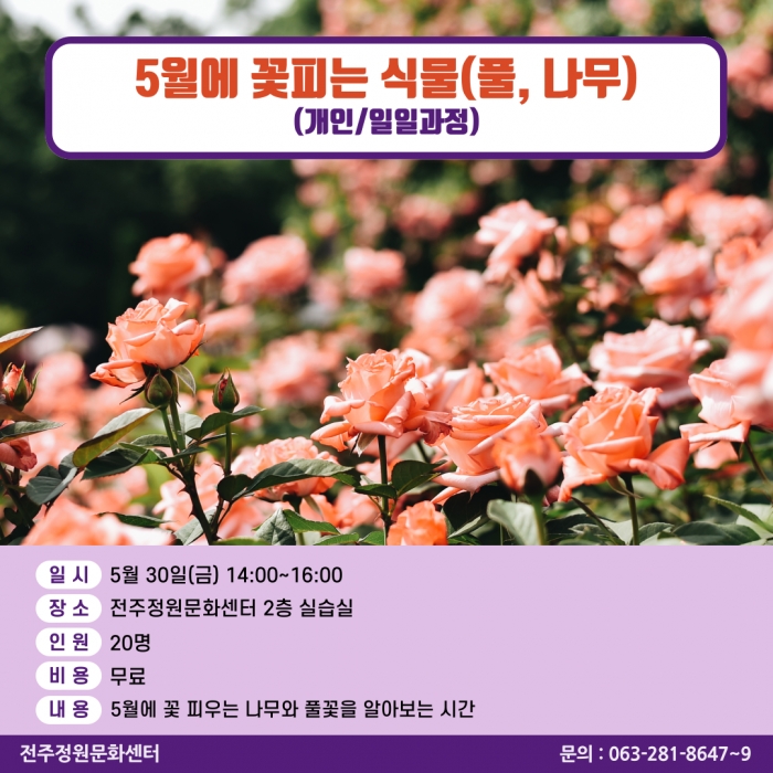오월에 꽃피는 식물(풀,나무)(개인/일일과정)