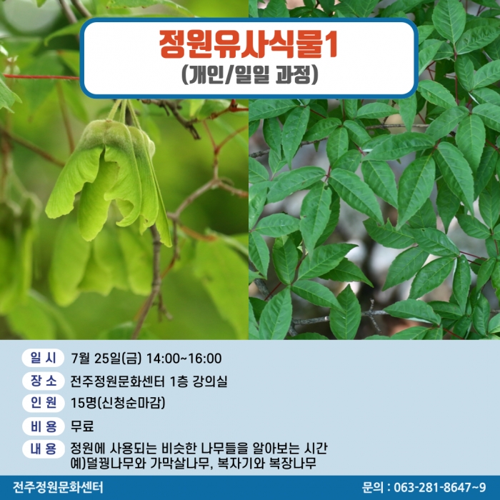 정원유사식물 1(개인/일일과정)
