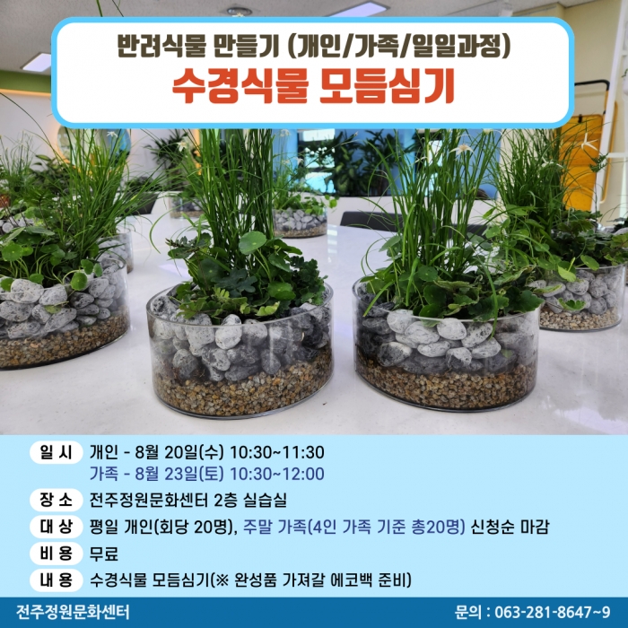 반려식물만들기(수경식물 모듬심기/개인,가족 원데이)