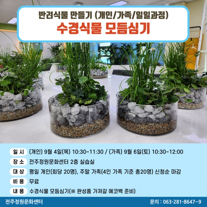 반려식물만들기(수경식물 모듬심기/개인,가족 원데이)