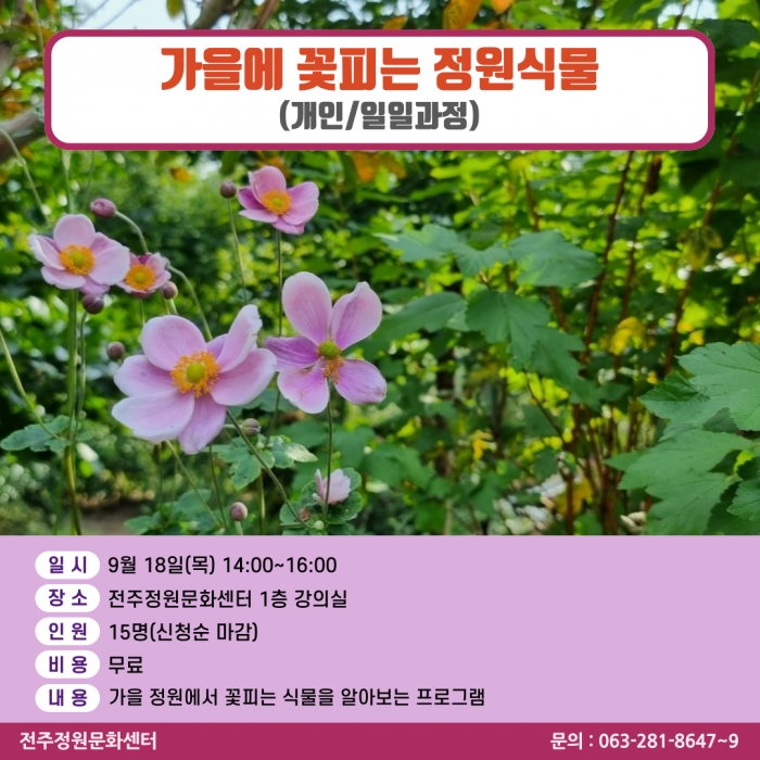 가을에 꽃피는 정원식물(개인/일일과정)